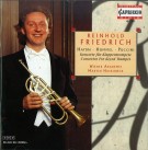 Friedrich 1995